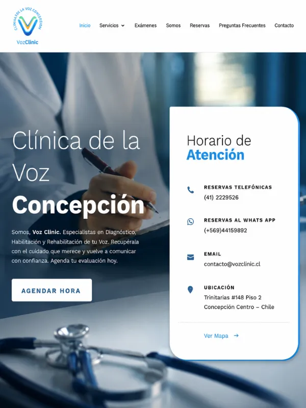 Diseño web profesional Paskall Web proyecto 2